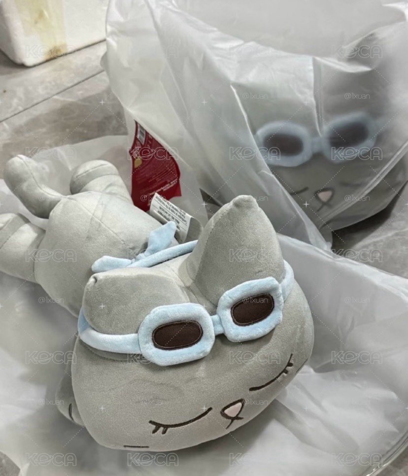 泰山趴娃