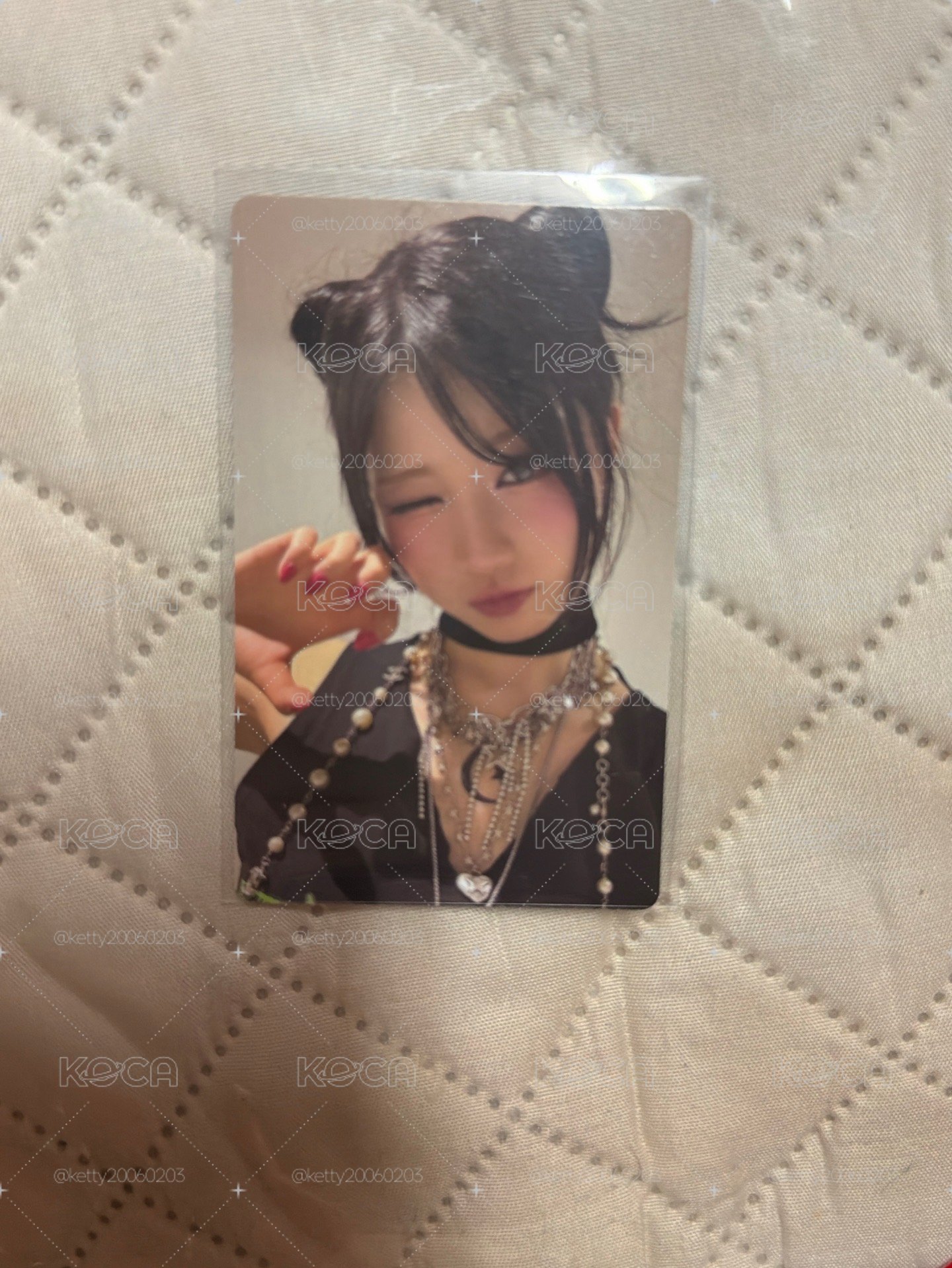 asa wvs貓貓💙