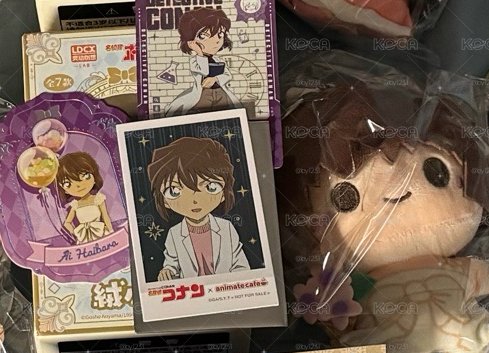 名偵探柯南 盲盒 靈動創想 30週年 娃娃+共鳴 口袋毛絨 吊娃 灰原哀