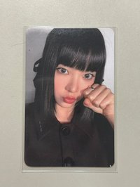 K4 貓貓拳採