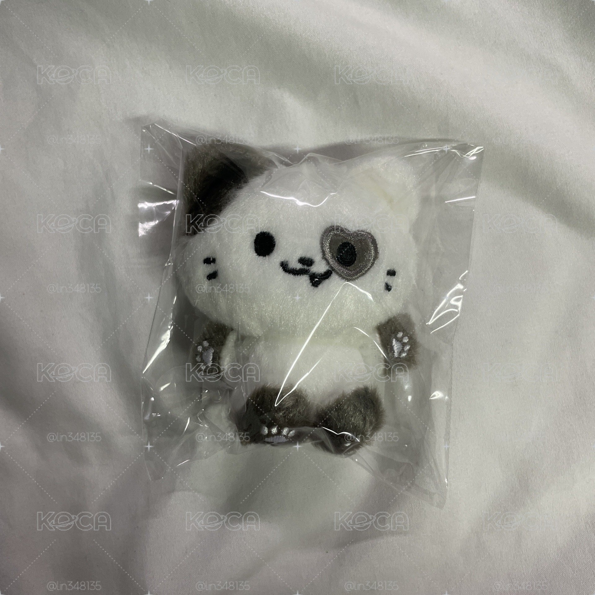 禮志 三巡 日周 坐娃 全新