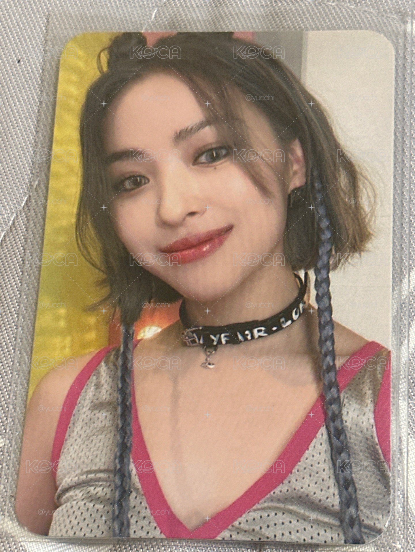 柴郡jyp留