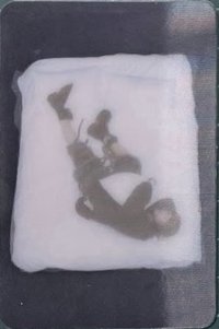 DUH 專輯卡 變化卡