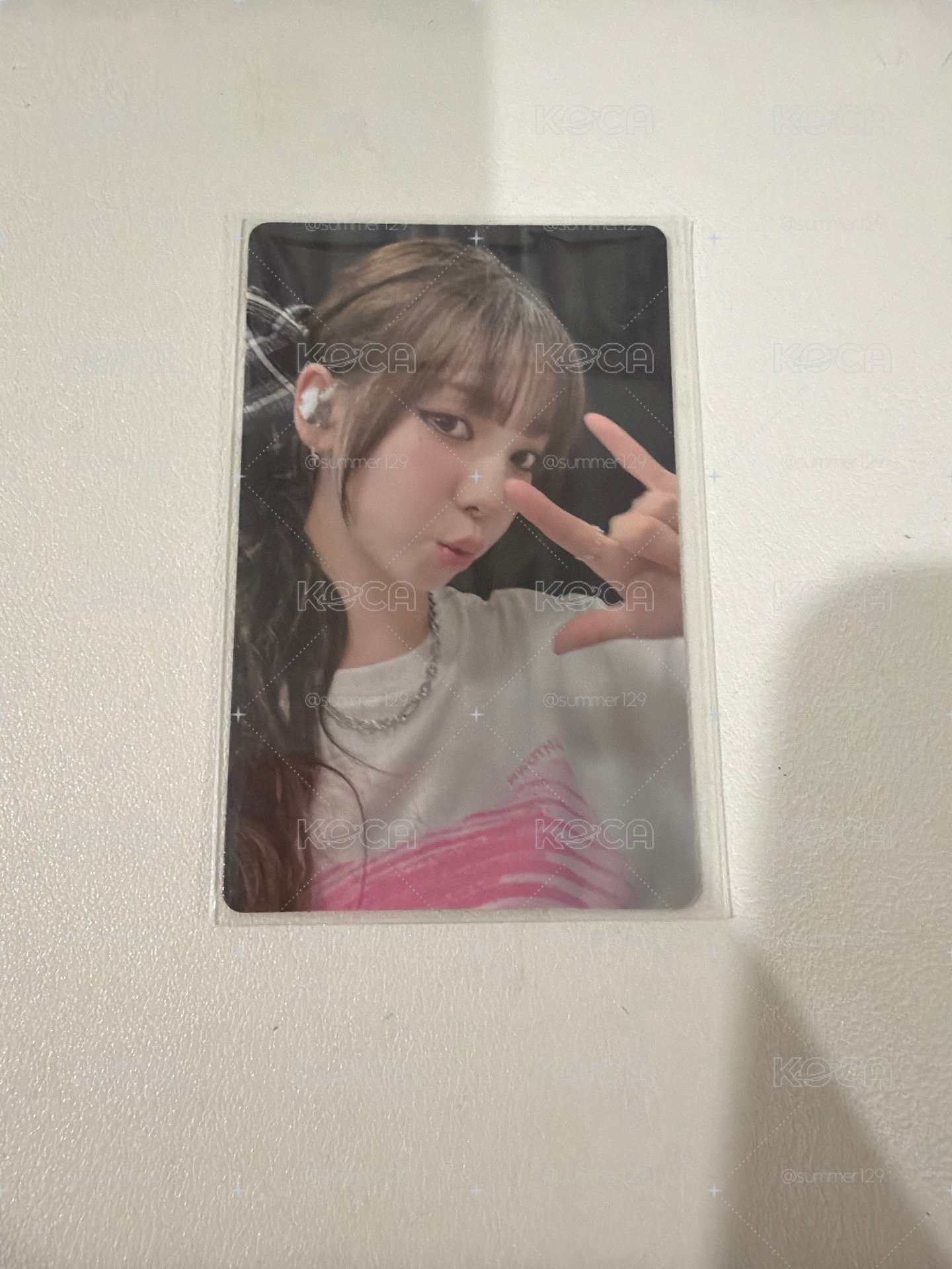 wvs柚