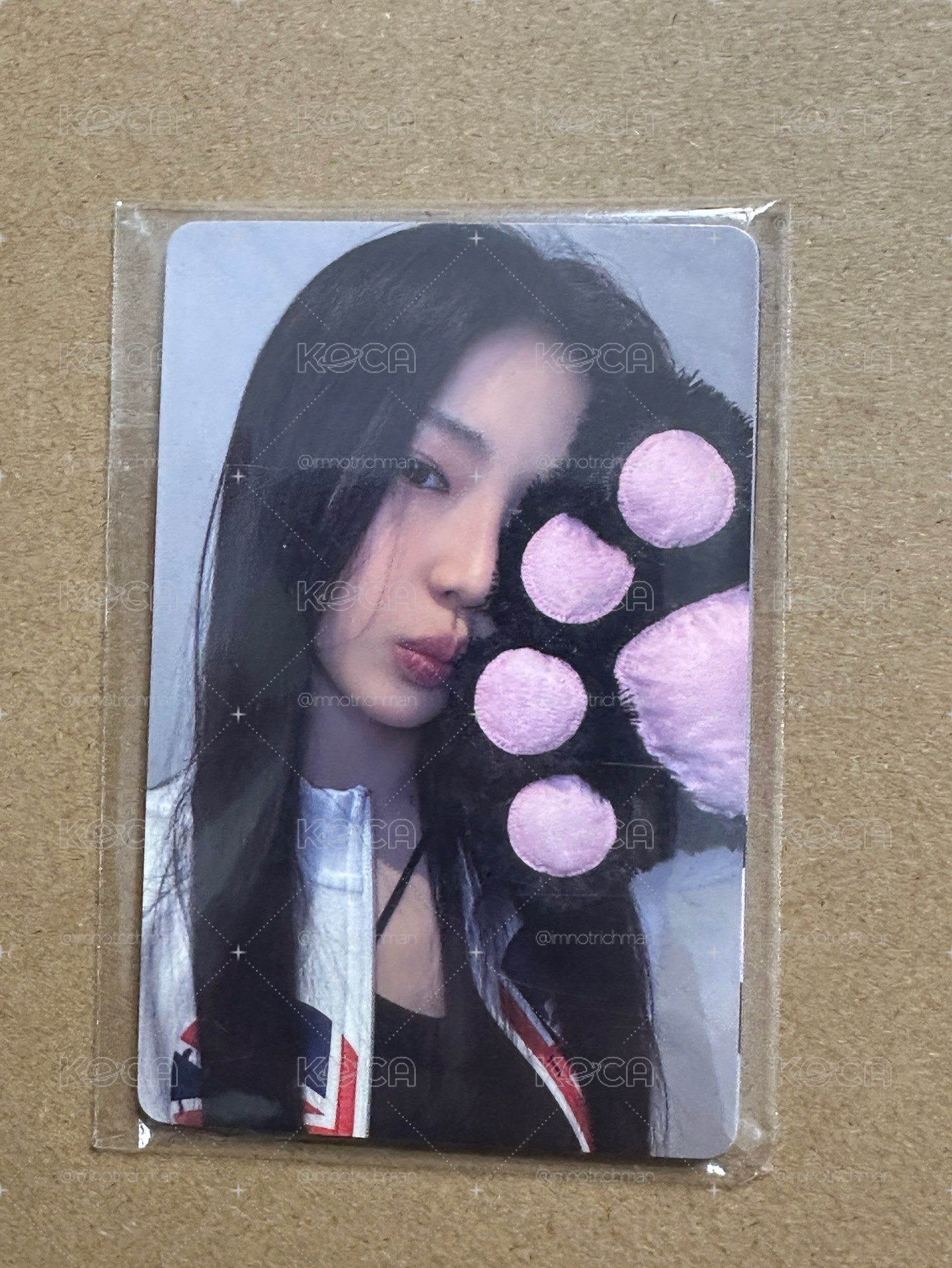 ［現貨］BABYMONSTER玫瑰日 YG線下幸運卡 一套七張（貓爪ver.)