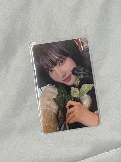 黑玫瑰潤