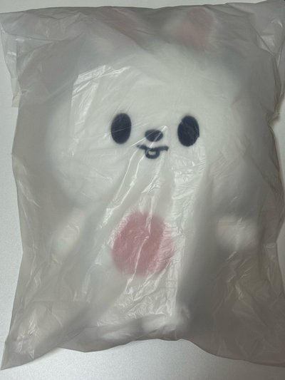 旻後背包