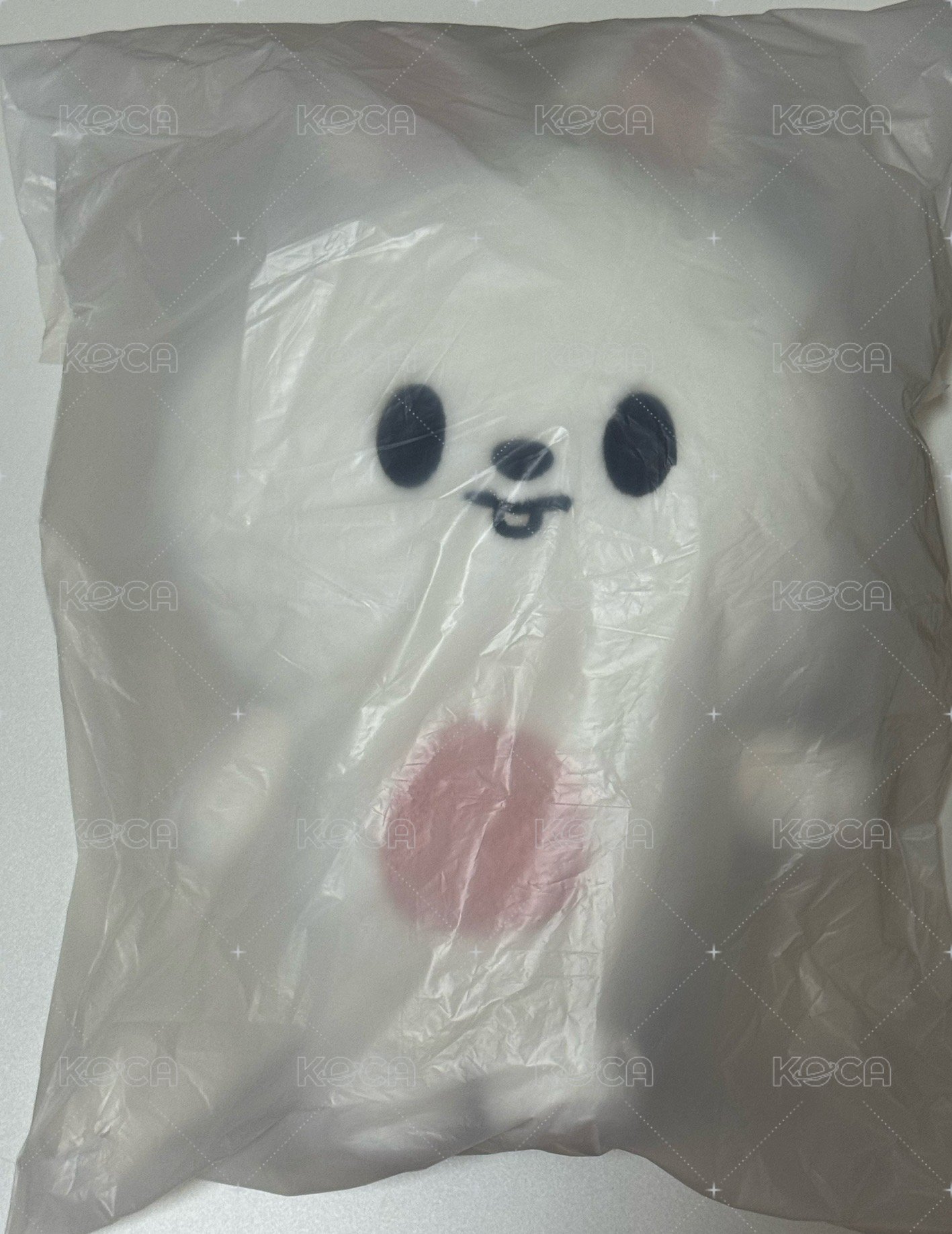 後背包