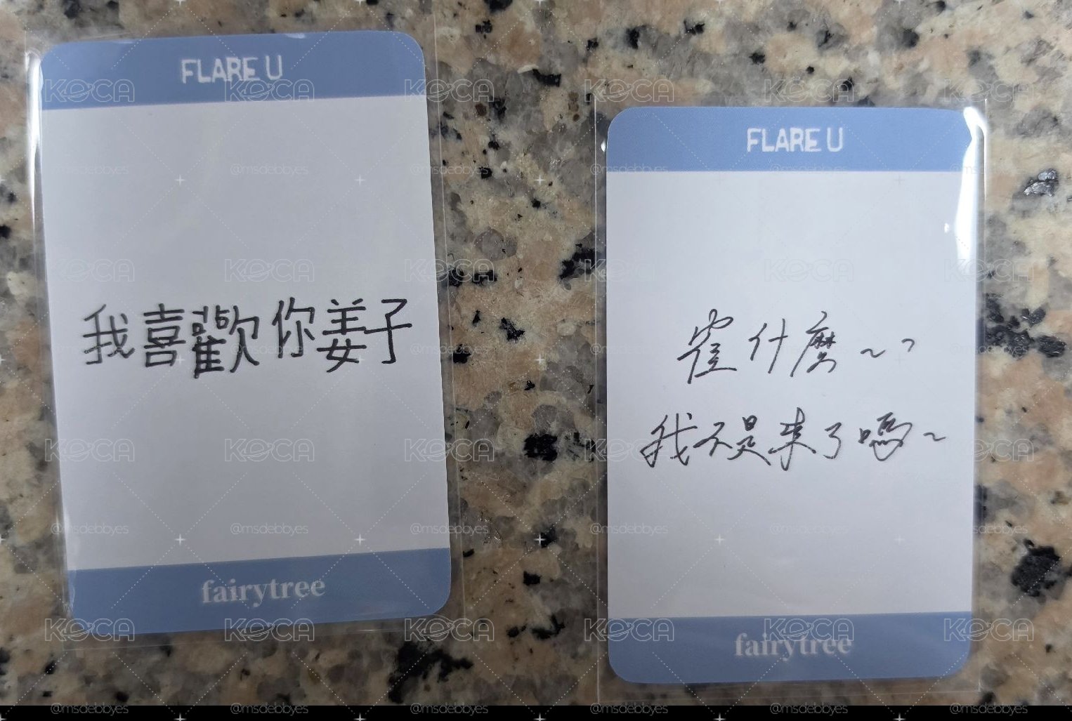 YOUTH ERROR 仙女樹 台北線下應募 簽售卡 我生氣了ver. 一組2張