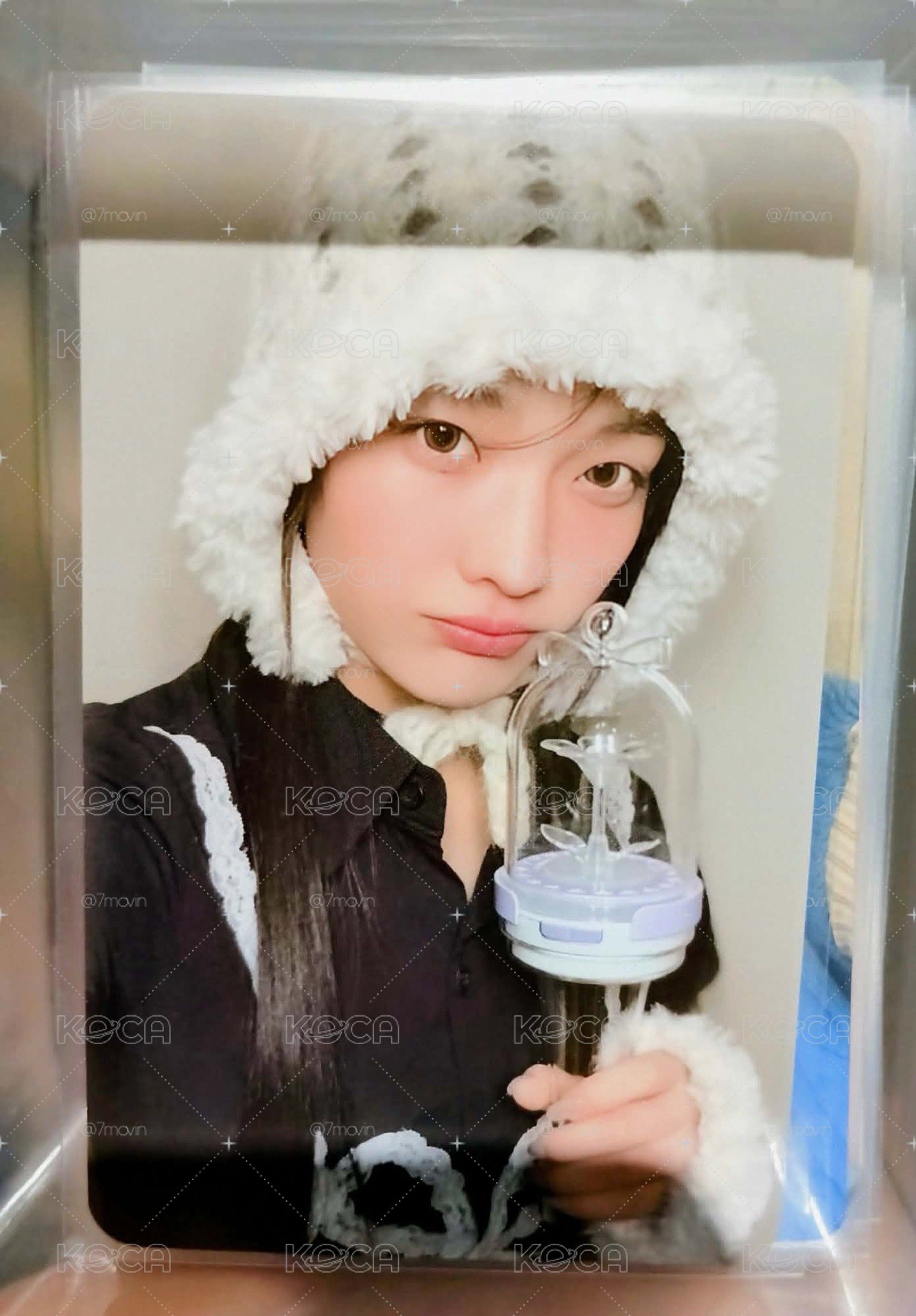 彩羽超萌手燈小卡✨