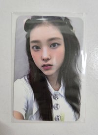 楠藝 公主貓