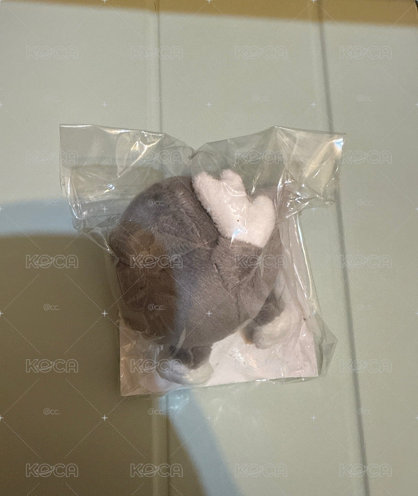 燦屁屁手機支架