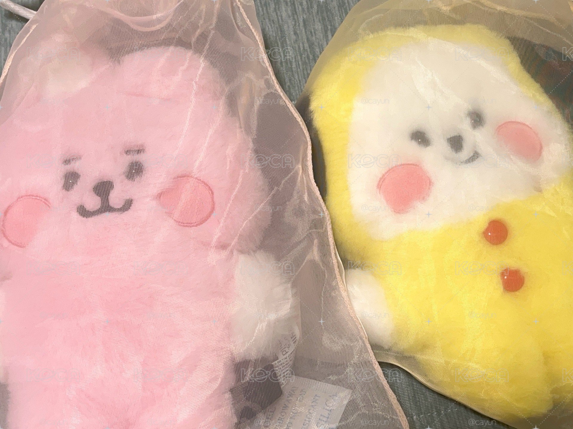 BT21 chimmy