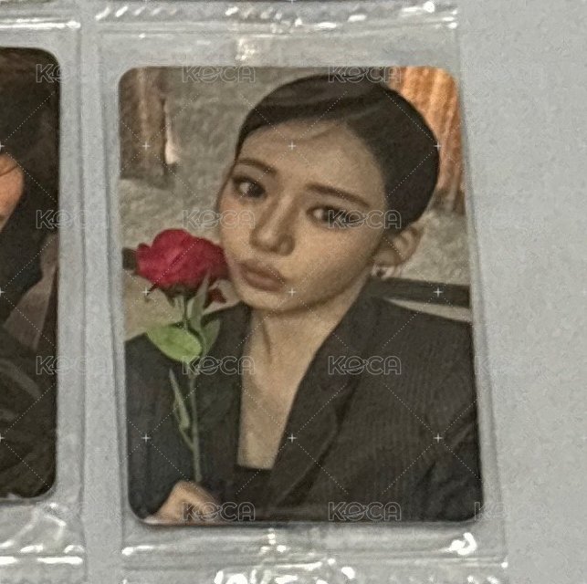 玫瑰茶🌹