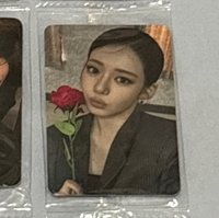玫瑰茶🌹