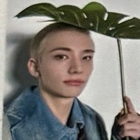 荷葉-辰