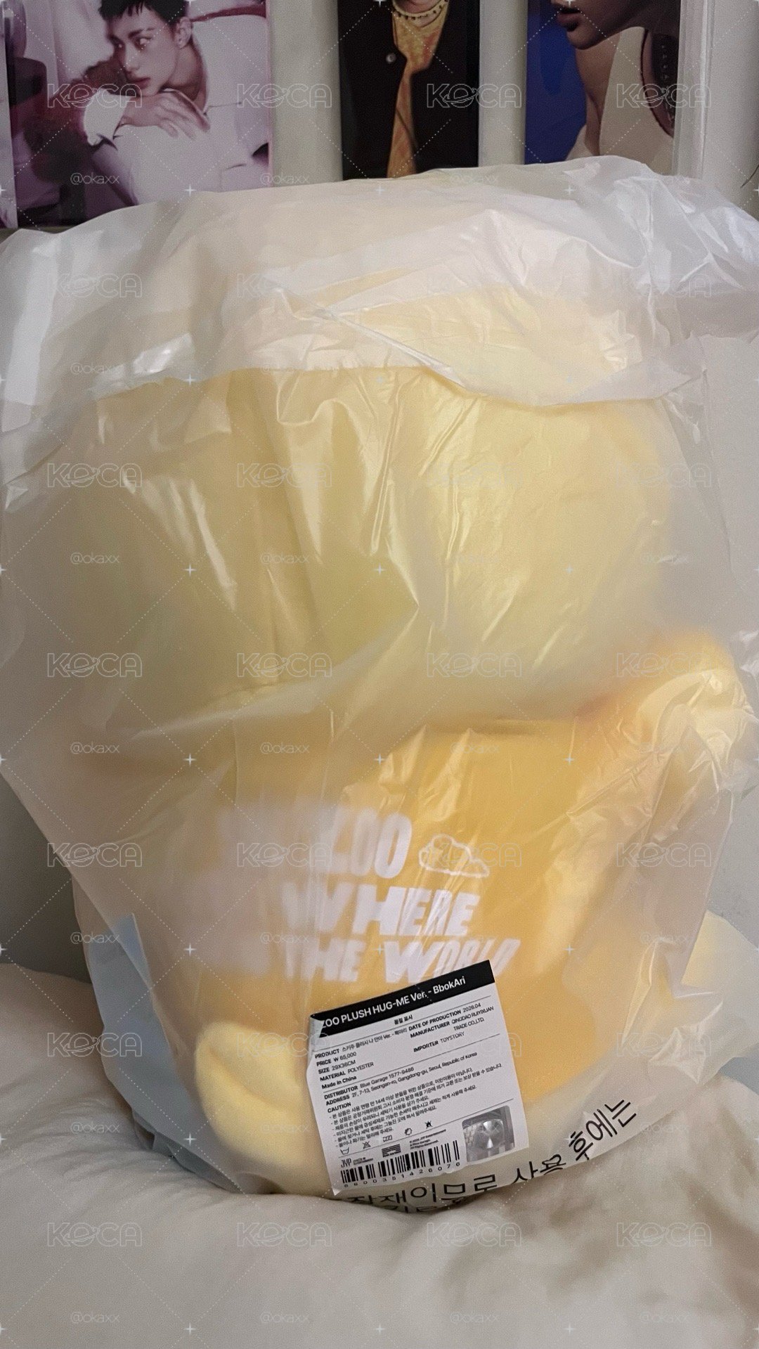SKZOO全球快閃大抱抱娃 辰 菲 城 寅 燦