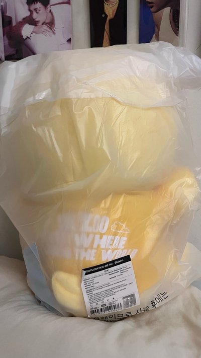 SKZOO全球快閃大抱抱娃 辰 菲 城 寅 燦