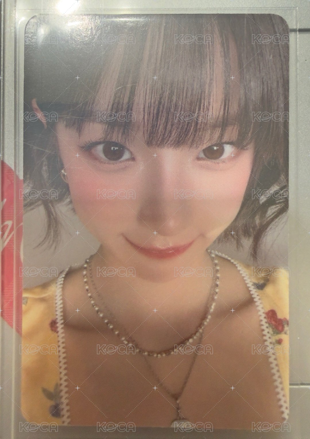 琦