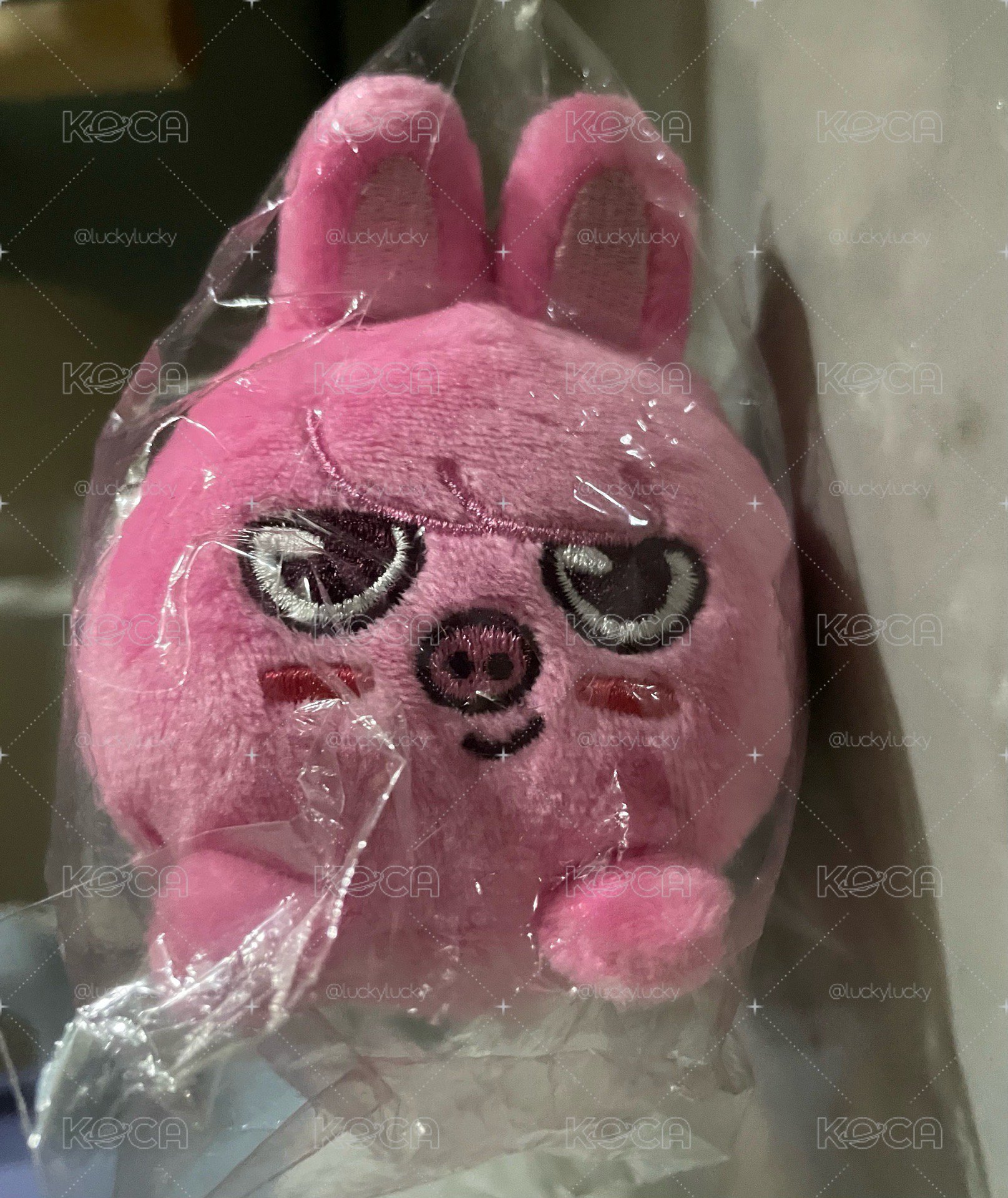 skzoo趴娃 彰彬