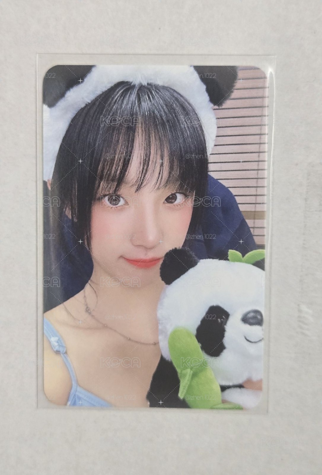 熊貓琦