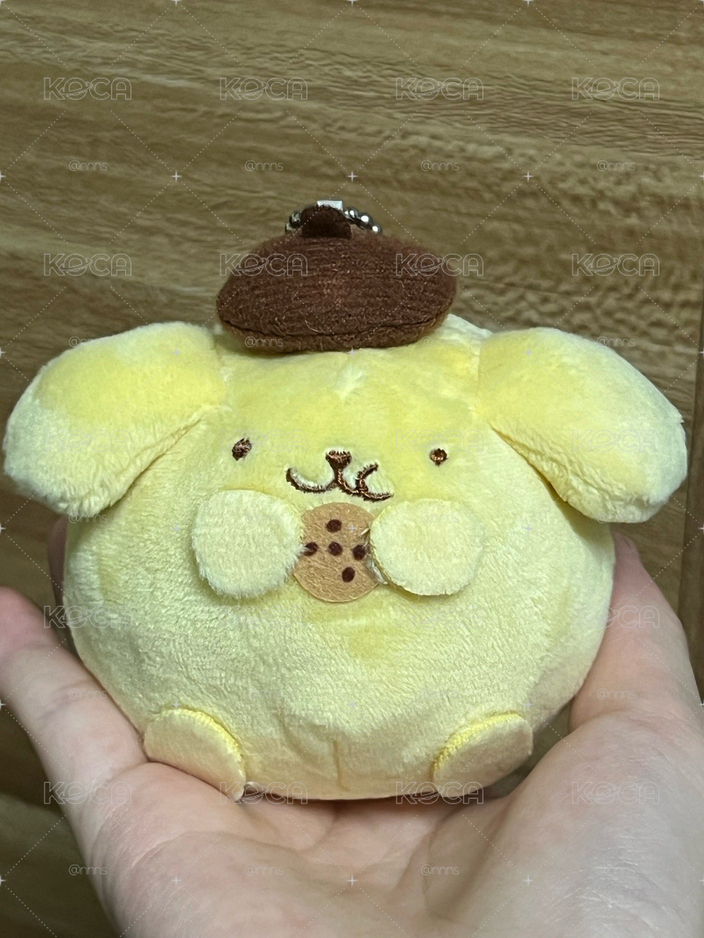 圓滾滾吃餅乾布丁狗