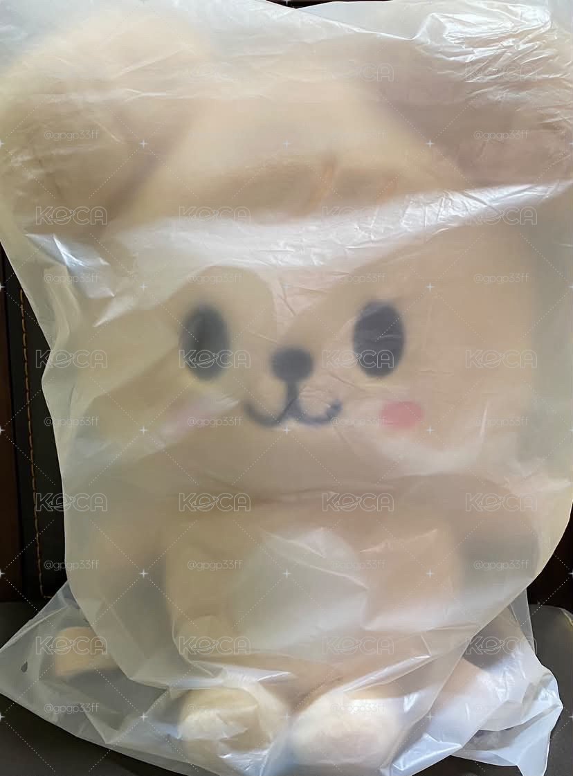 帕皮欸姆後背+名古屋場限玟