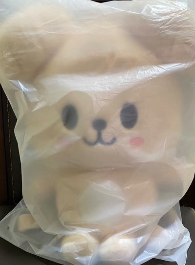 帕皮欸姆後背+名古屋場限玟