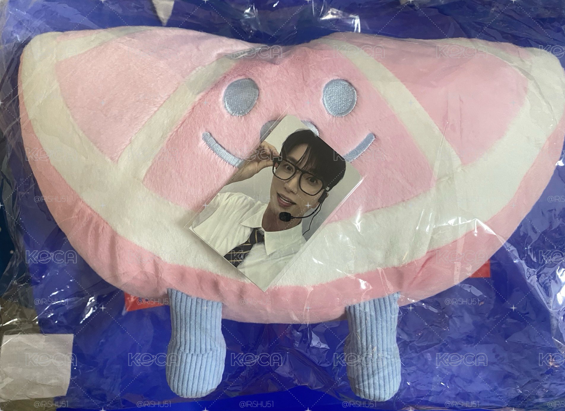 利特葡萄柚抱枕