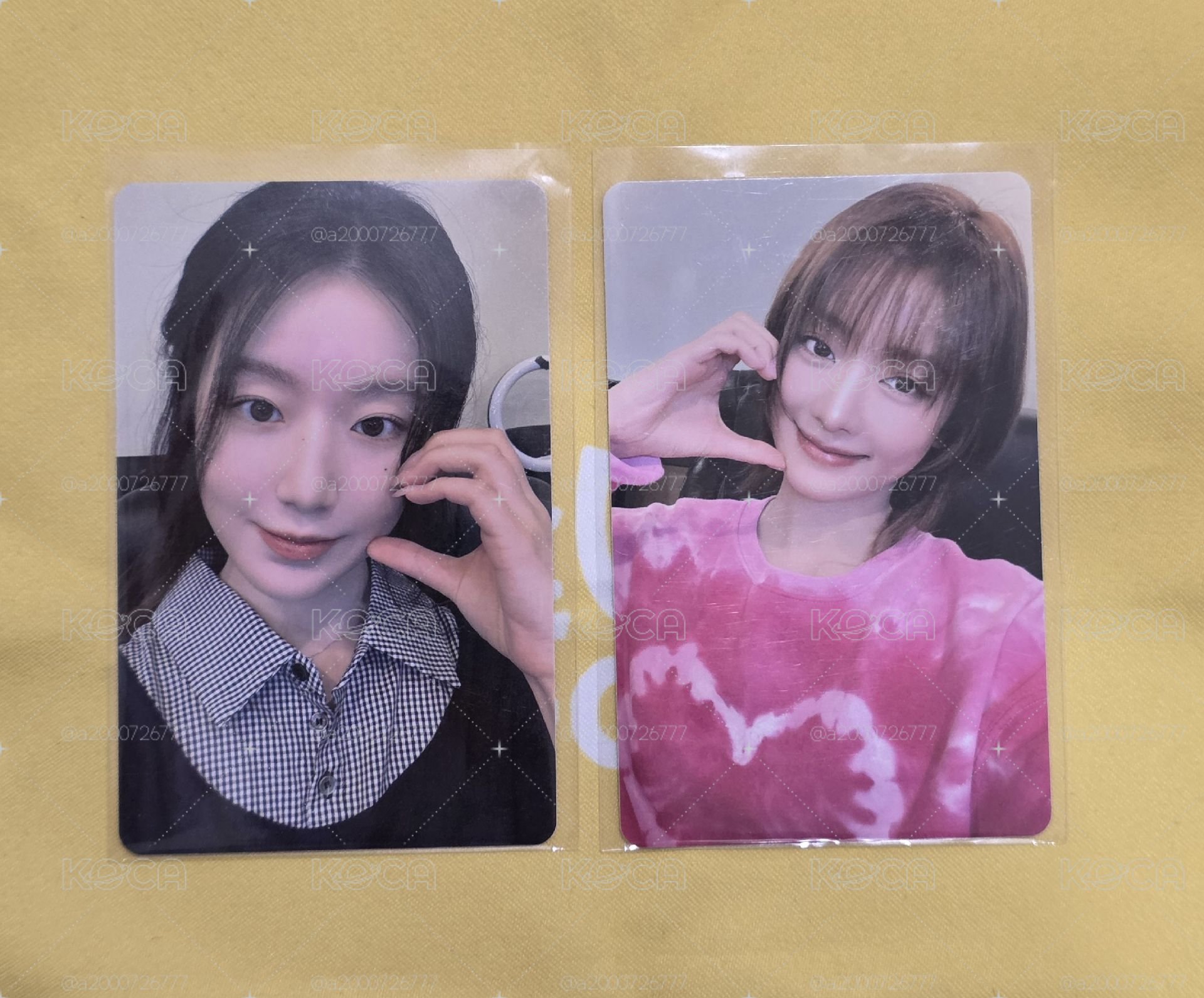 迷八泡泡摩琦簽售 妮刷