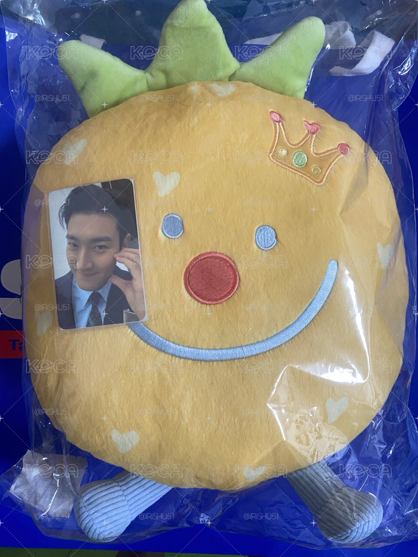 始源抱枕