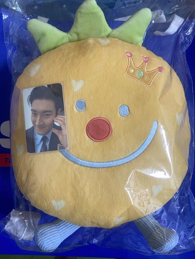 始源抱枕