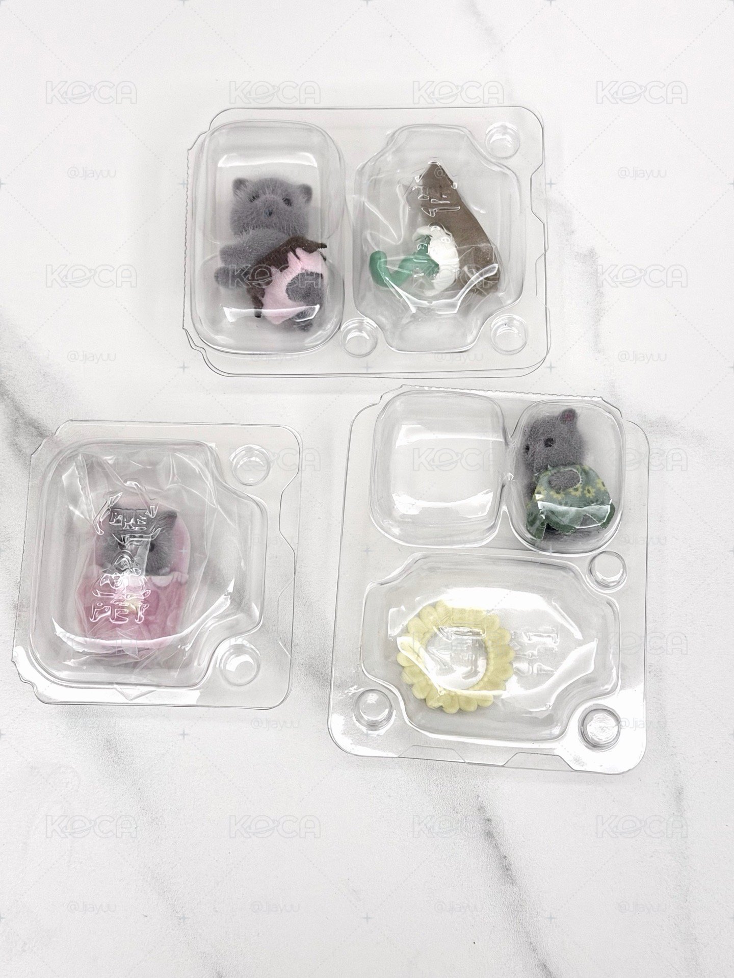 波斯貓