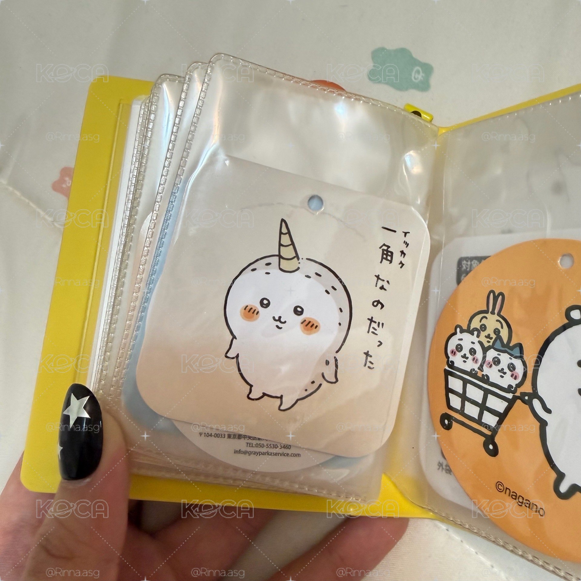 金熊✨