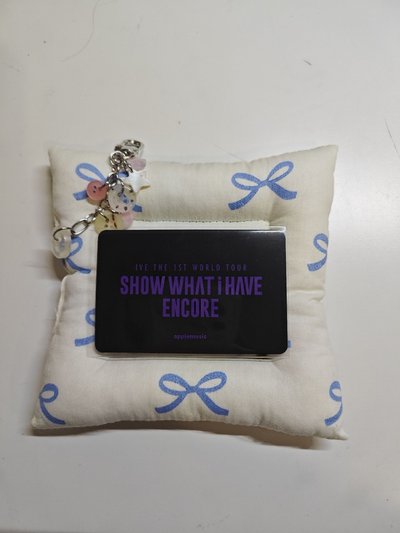 SHOW WHAT I HAVE am 特典卡 ENCORE DVD / KIT 秋天