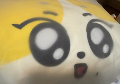 元抱枕
