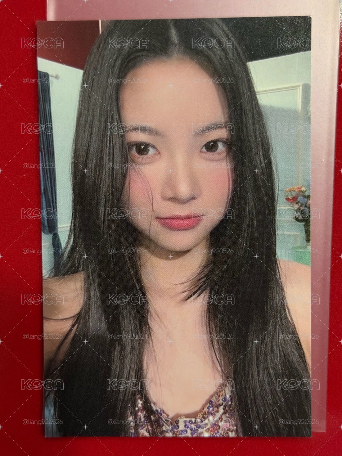 出道sc採