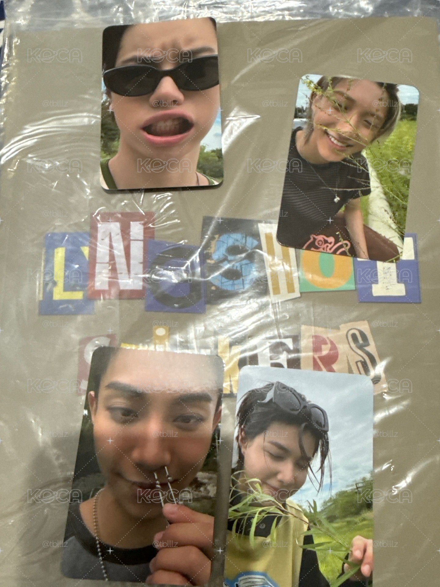 LNGSHOT 貼紙書 草地版全專