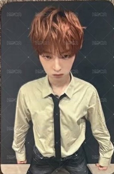 FLARE U 仙女樹 簽售卡 崔立于 姜玗進 特典 小卡