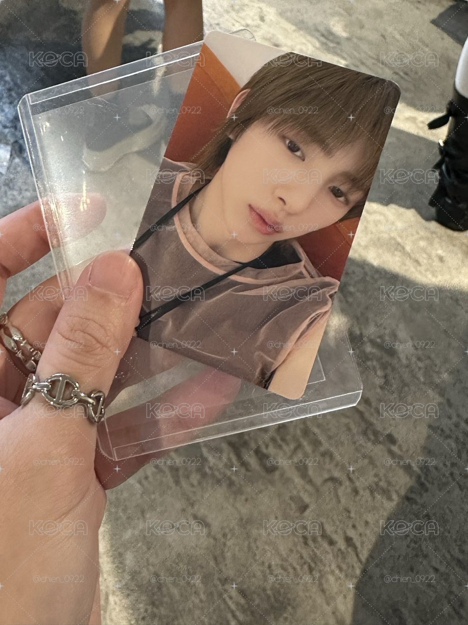 日巡金主訓粽卡