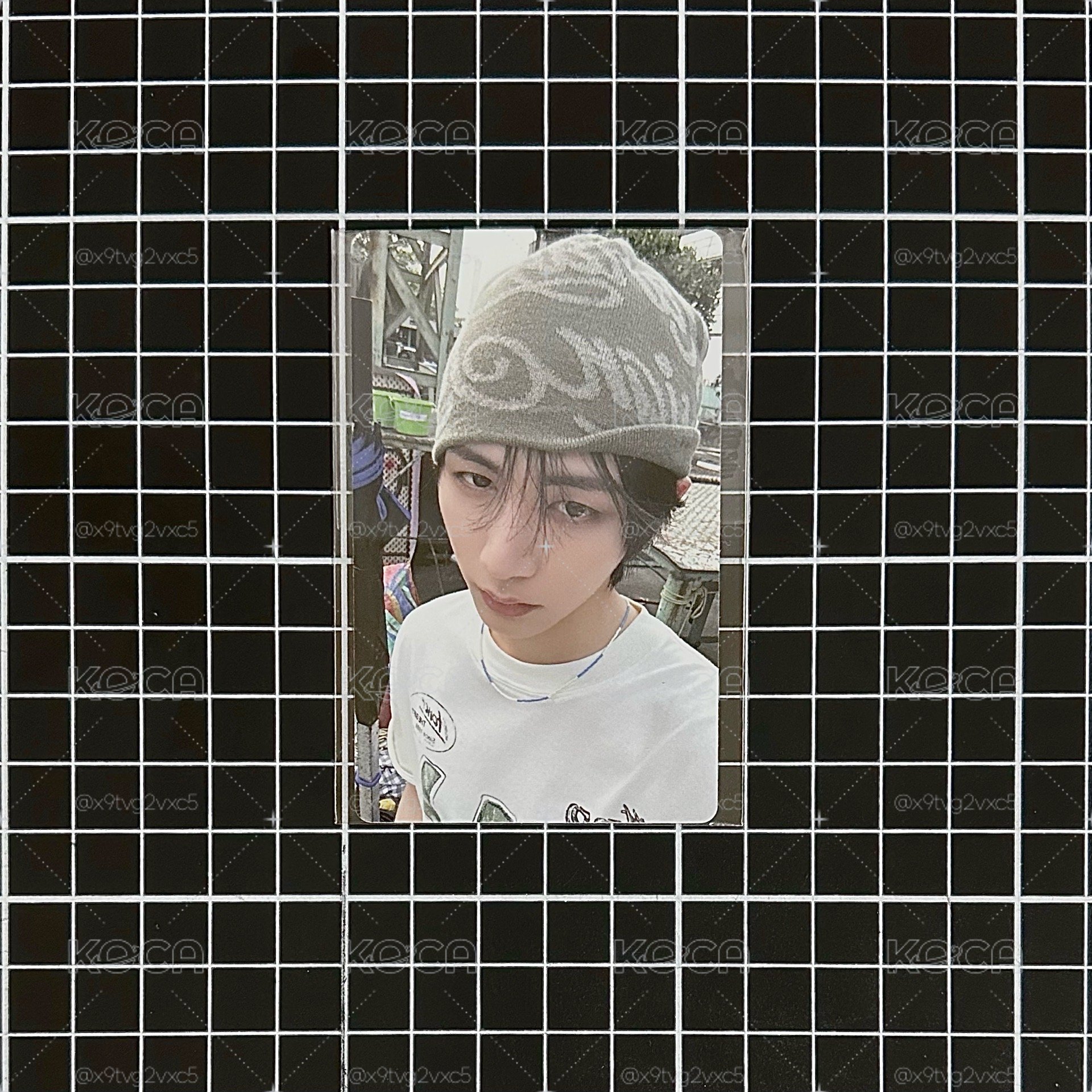 taesan 特別禮LD