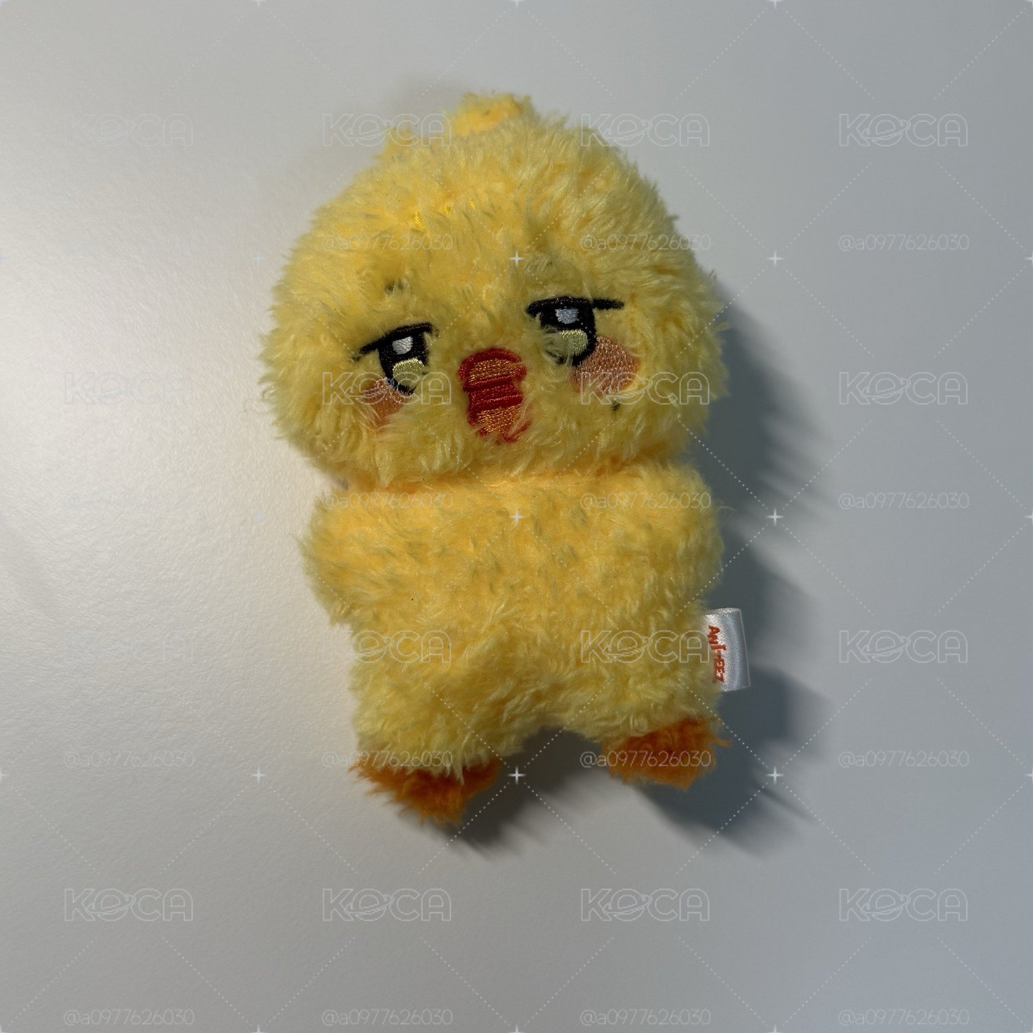 可愛🐥