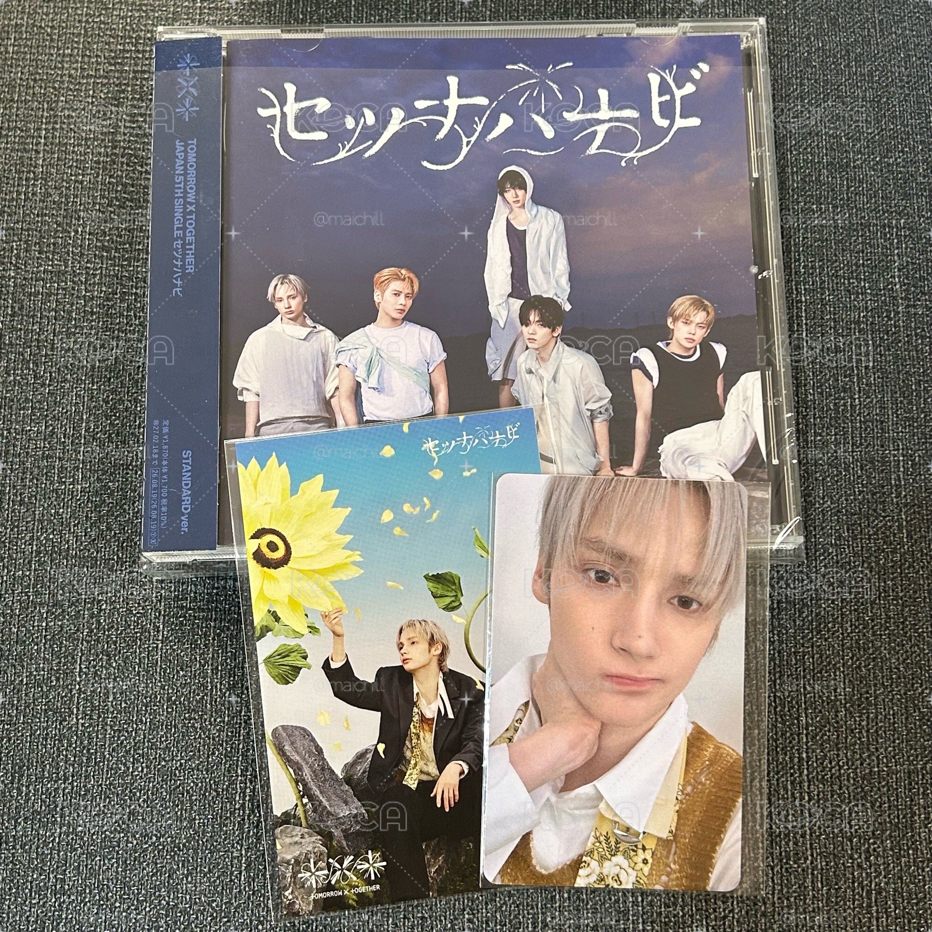 樂天LD休寧&通常盤