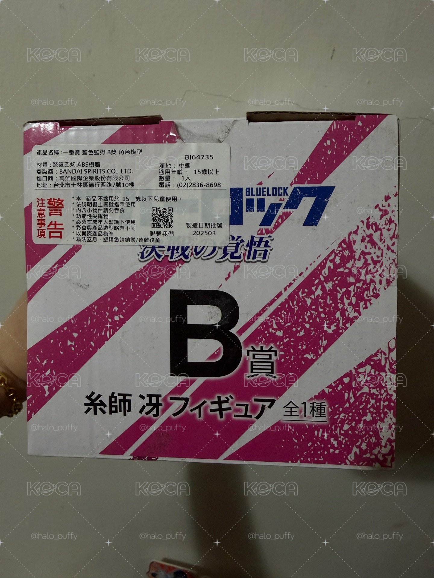 藍色監獄一番賞 決戰的覺悟 B賞 糸師冴
