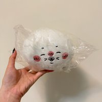 C賞海豹