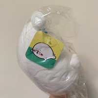 C賞海豹