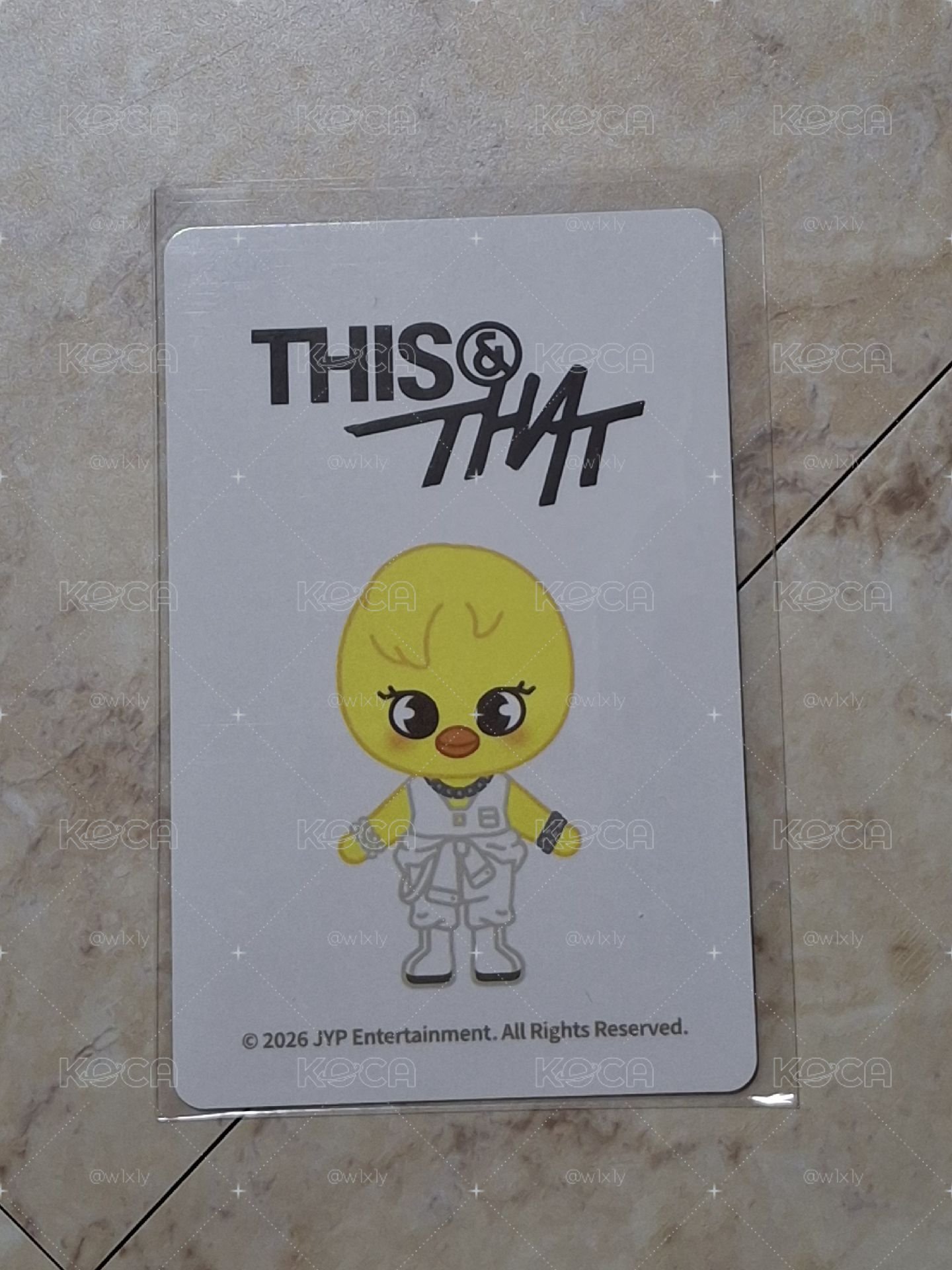小動物支架週邊小卡（菲）