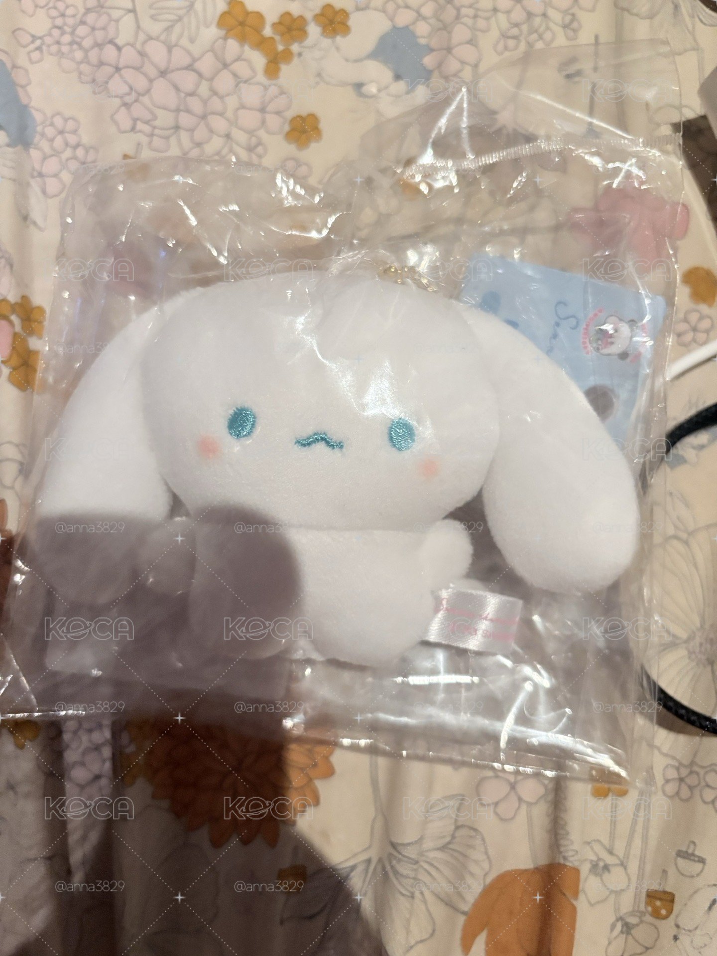 豆豆大耳狗