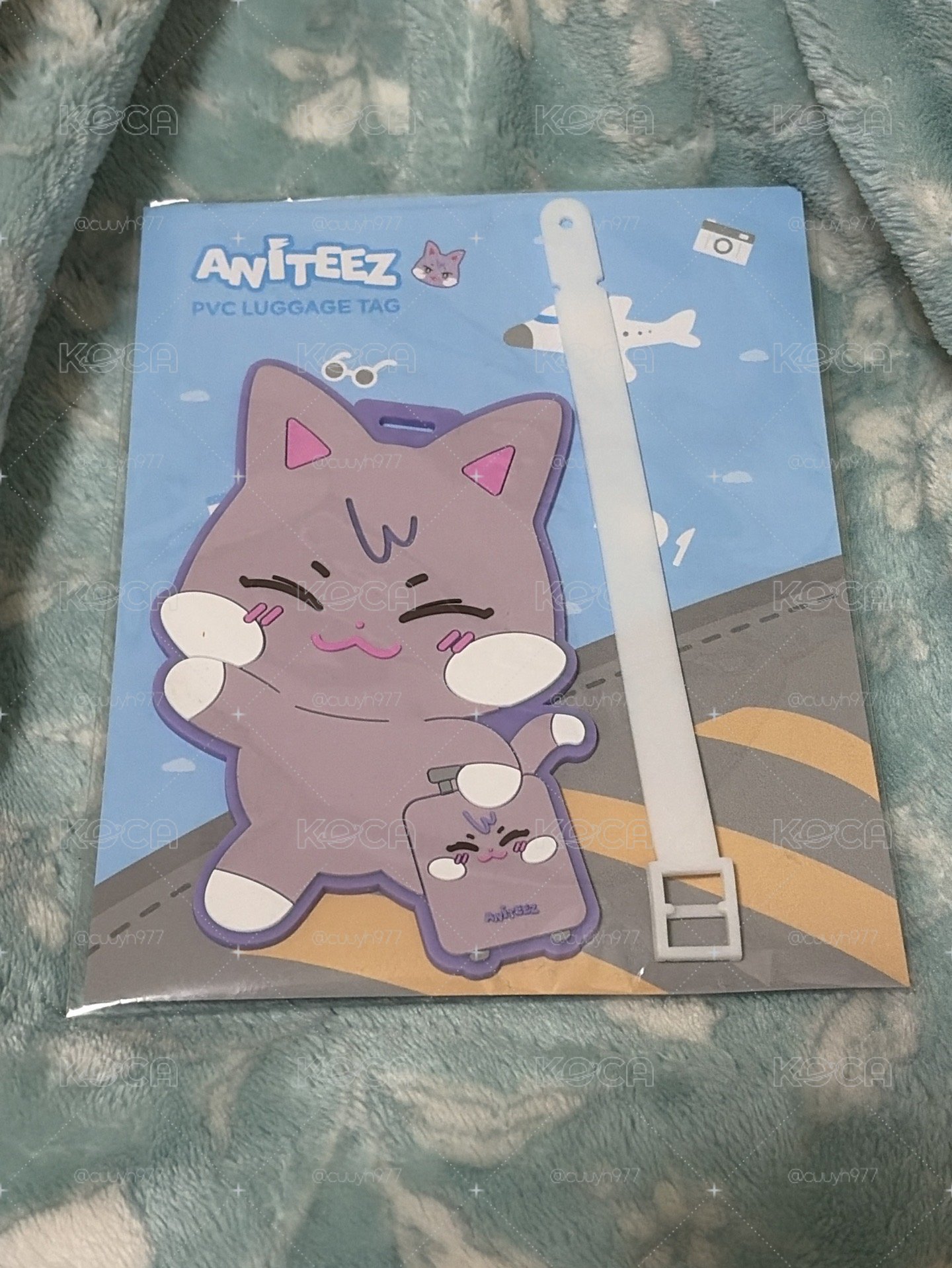 請帶著傘咪一起去旅行🧳！