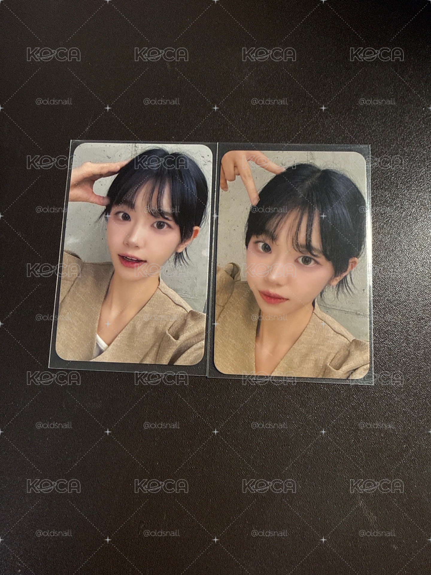 小貓&小狗影子 丹
